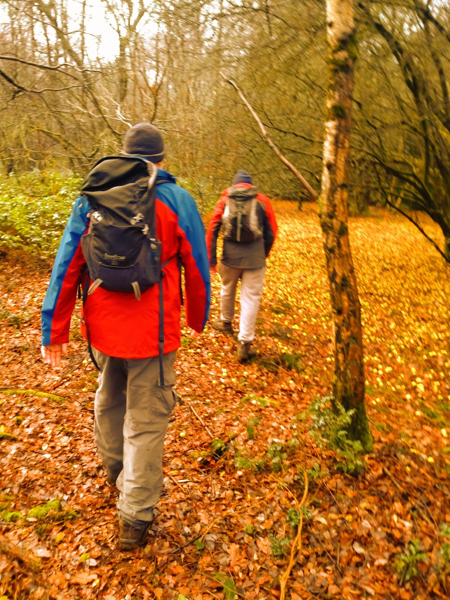 the4amblers's tweet photo. 3 of @the4amblers ventured out on the 2025 Christmas amble https://t.co/l3iGO3eQXi