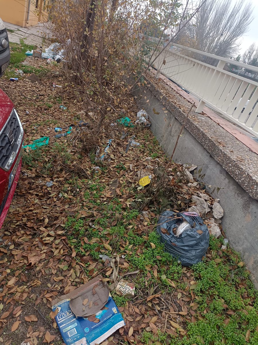 Buenos días <a href="/Lineamadrid/">Línea Madrid</a> solicitamos limpieza de la Calle Carpesa justo detrás del gimnasio Basic Fit y también calle Cayetano Rodríguez, están llenas siempre bastante sucias.
Muchas gracias