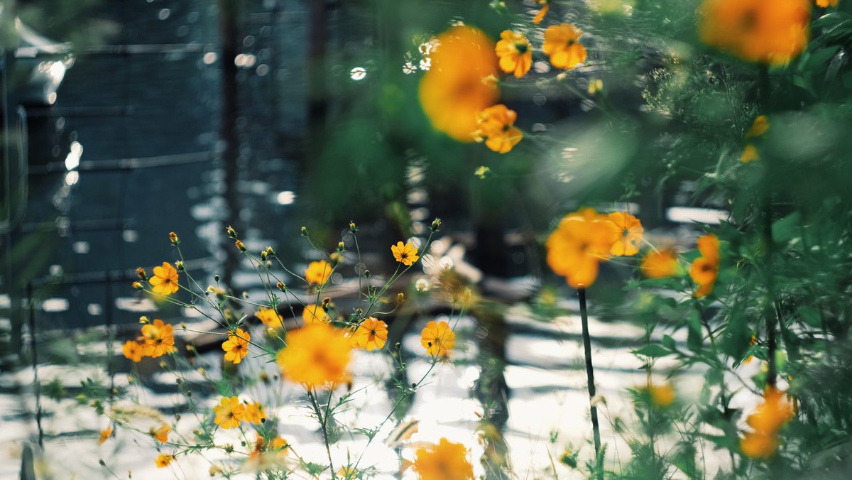noco3n_com's tweet photo. calm. https://t.co/joURrbkGhp