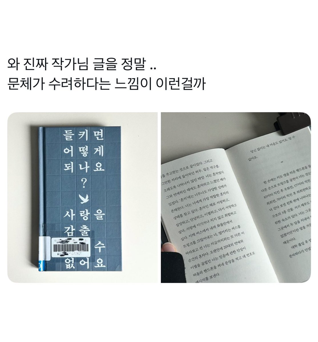 책독후 tweet media