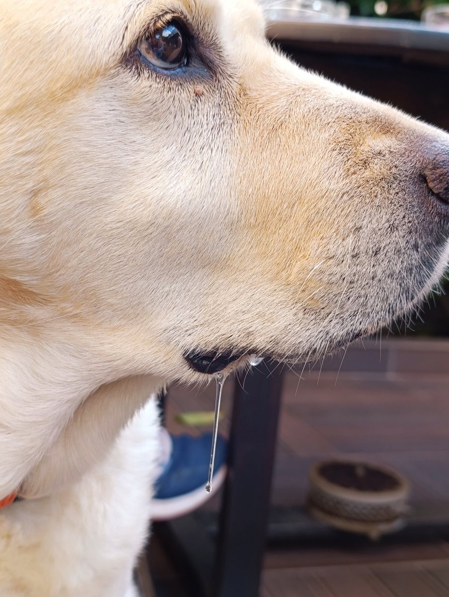 St.Haris tweet media