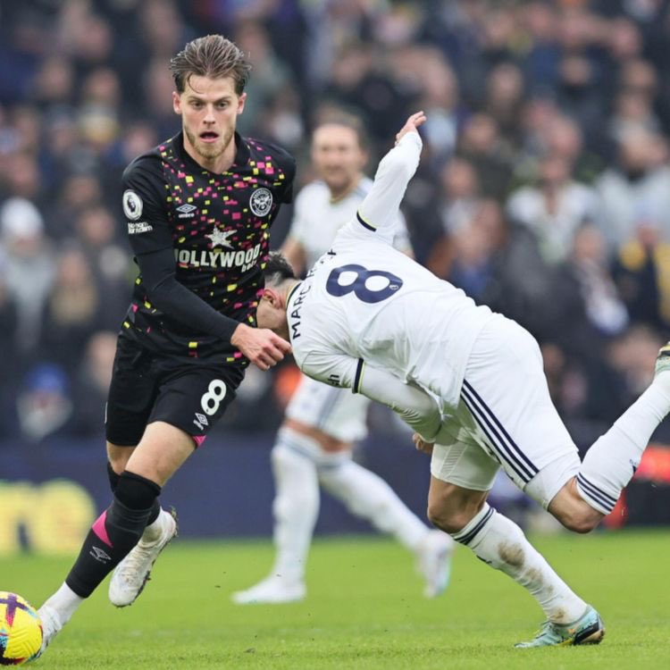 Beesotted Brentford tweet media