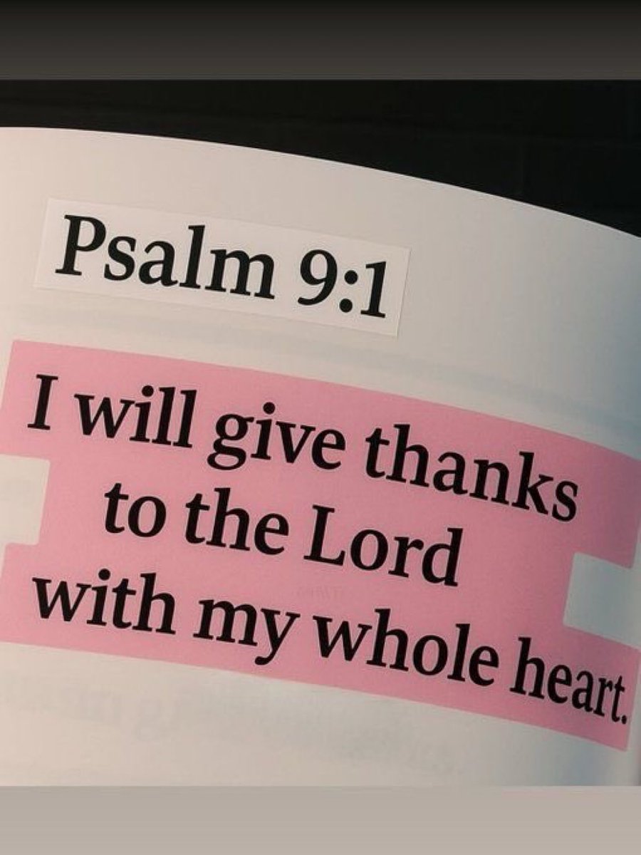 Bible 365 tweet media