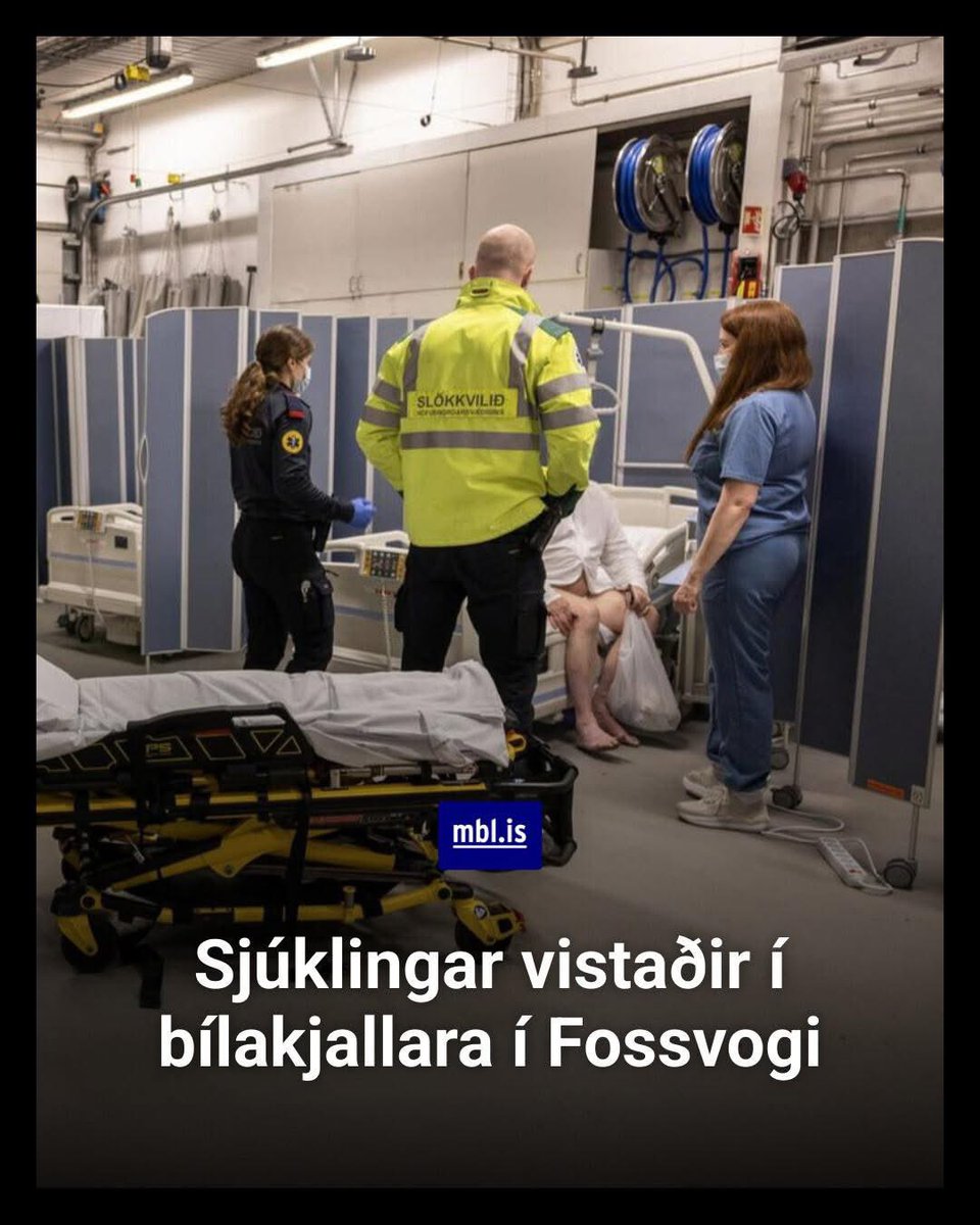 Á sama tíma er verið að dæla peningum í innflytjendur sem taka sinn toll á heilbrigðiskerfin. Peningur skattgreiðinda flæðir svo í hinsegin samtök út í heimi og fleirri gæluverkefni.
Er enginn à Alþingi Íslendinga í neinum takt við raunveruleikan?