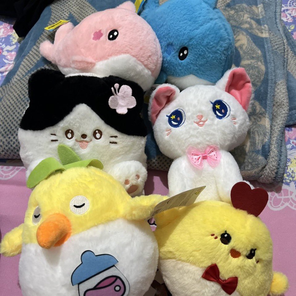 khai basudara シ︎ tweet media