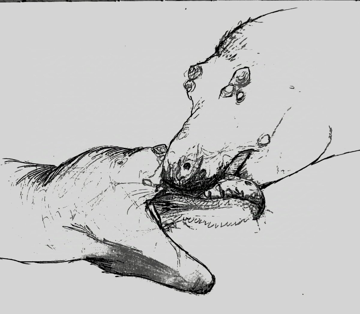 Just had a thought crossed my mind so I just did a quick sketch