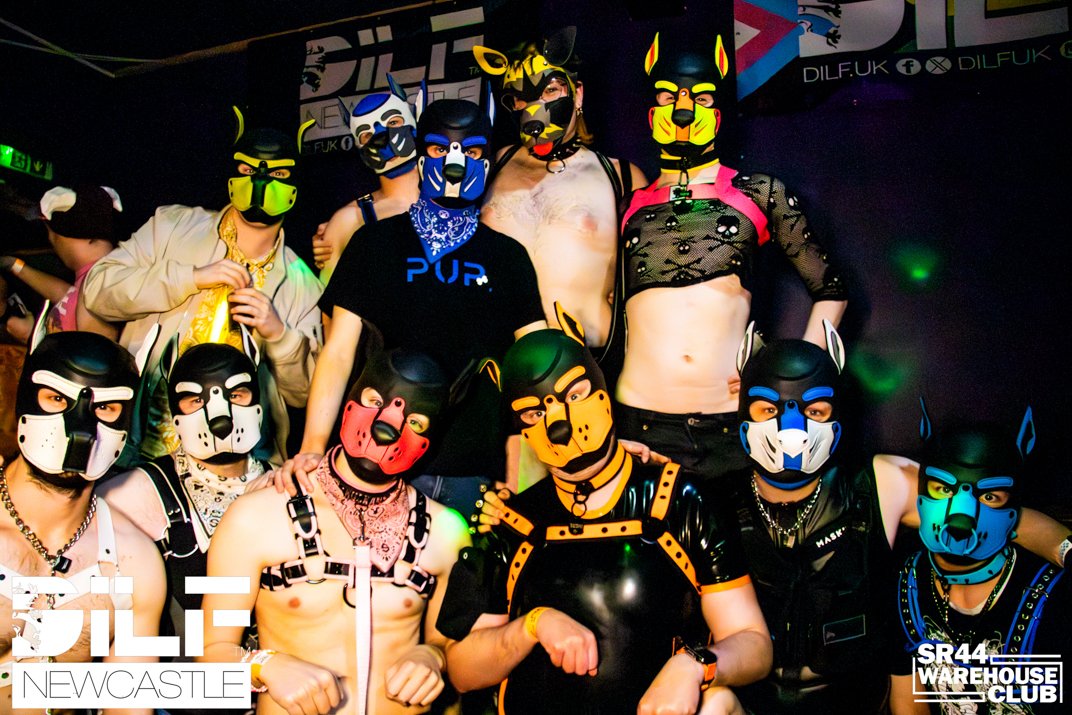 Pup Nimo ✨ tweet media