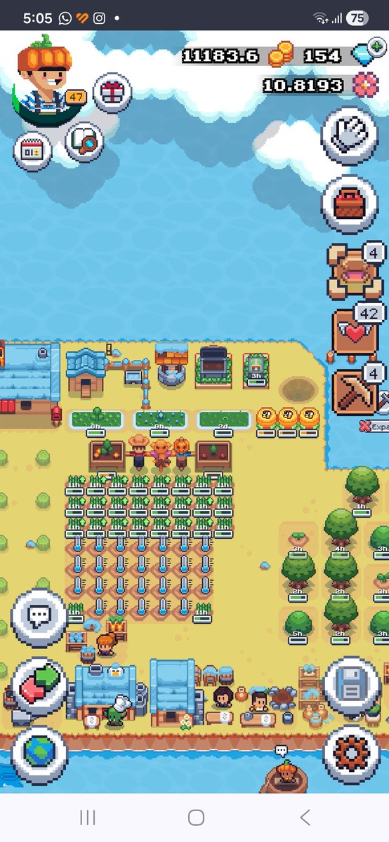 phonkphonk's tweet photo. #SunflowerLandFarm https://t.co/3GCnApCKIS