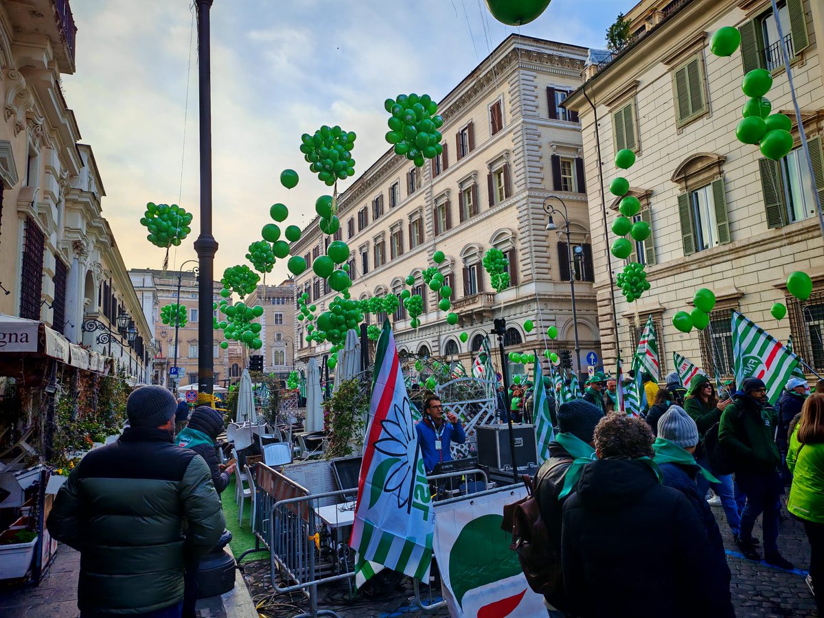 cislbari tweet media