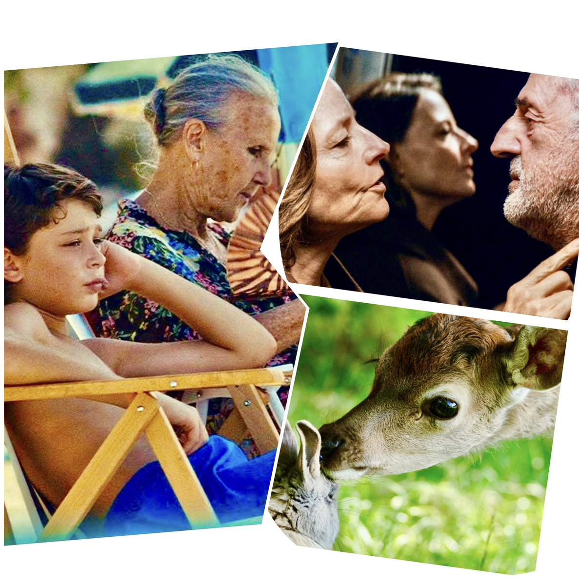 🔴 <a href="/Corriere/">Corriere della Sera</a> <a href="/7Corriere/">7 Corriere</a> #MarilynMag 🌍 i #CINECONSIGLI 
🔴 #Bambi #GioiaMia #LOmbraDelCorvo #VitaPrivata #TheTeacher #UnInvernoInCorea #LuoinIIIIlFilmLaStirpeImmortale #UnaBattagliaDopoLAltra #IFantastici4GliInizi  #BridgetJonesUnAmoreDiRagazzo 
🔴 corriere.it/spettacoli/cin… ⏰