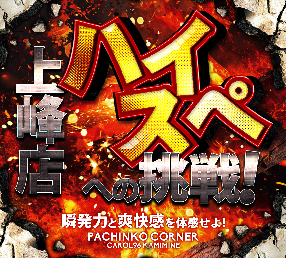 キャロルページ Race Fairing Kit – Kawasaki ZX-6R 2005 – 2006 (VERSION 600 a 636