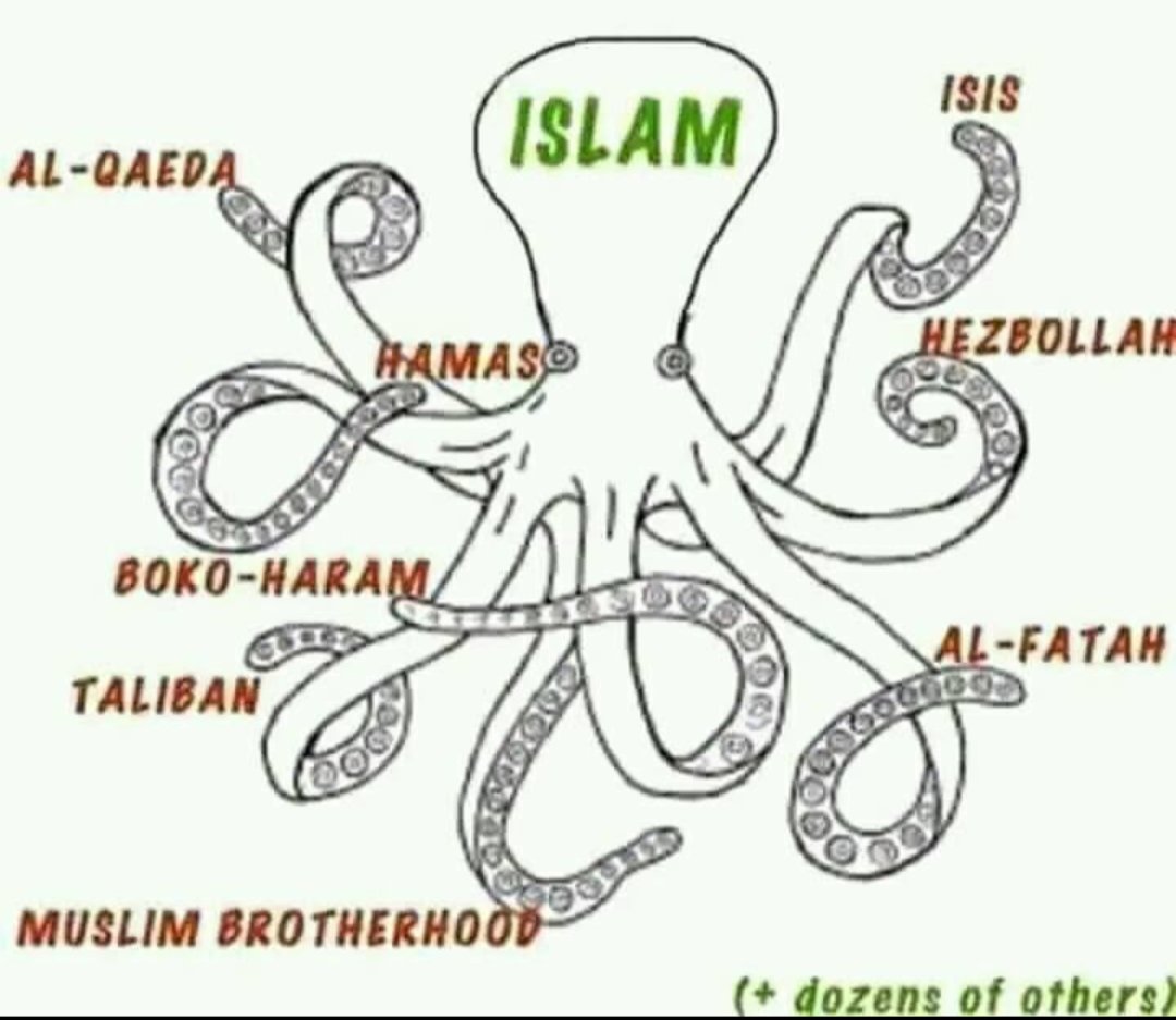 🐾 Peter.cnp 🐾🏒 tweet media