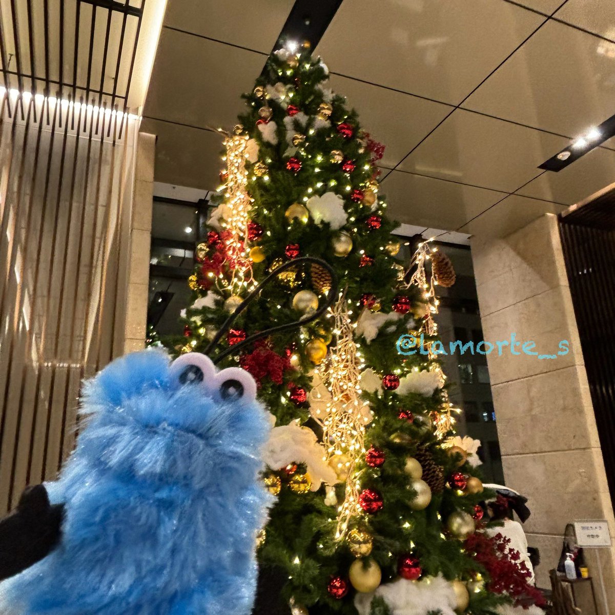 .*ライトが光る.⋆⟡クリスマスツリー わあ！とっても光ってるクリスマスツリー！