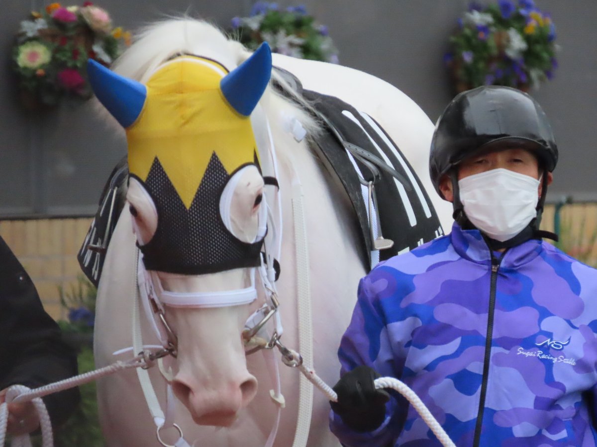 ブチ子と源☺︎☻ ブチコ