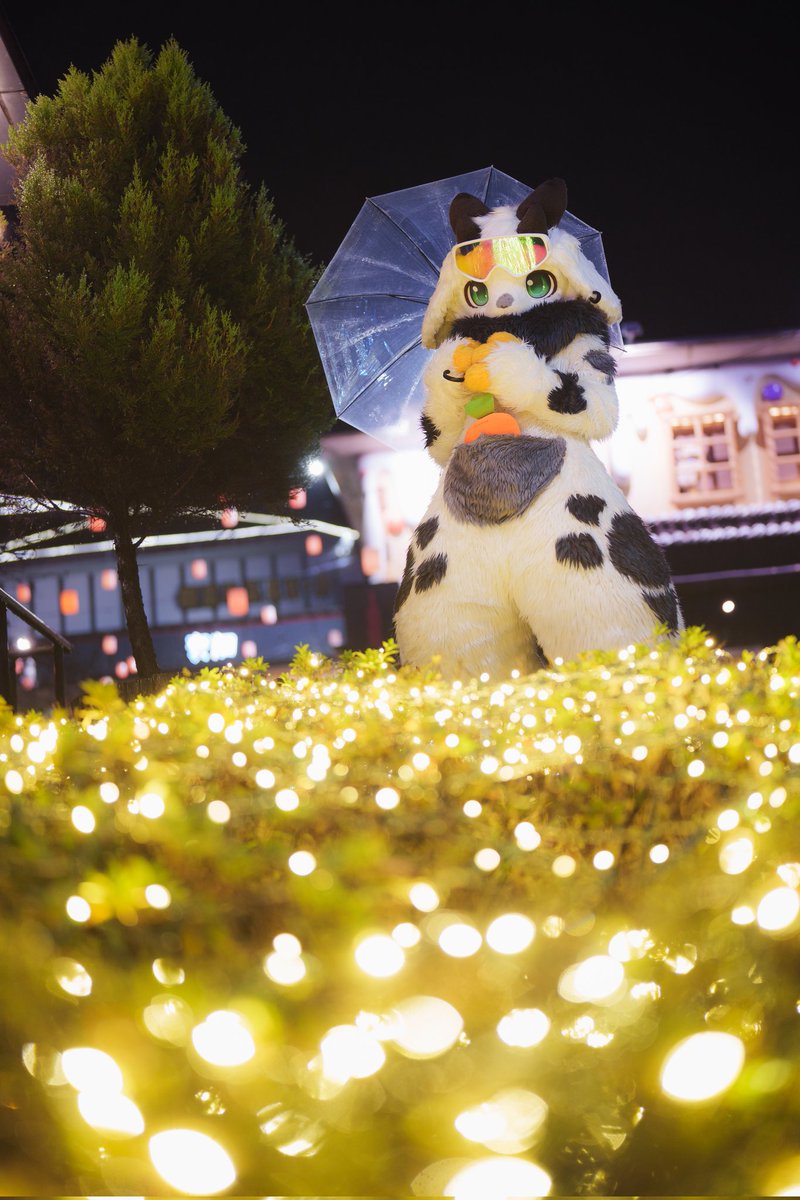 Justice_fur's tweet photo. ✨️✨️✨️キラキラ
📸:@NoremFox 
#FursuitEveryday #Kemocon18 #kemocon https://t.co/C0Gg3htFHG