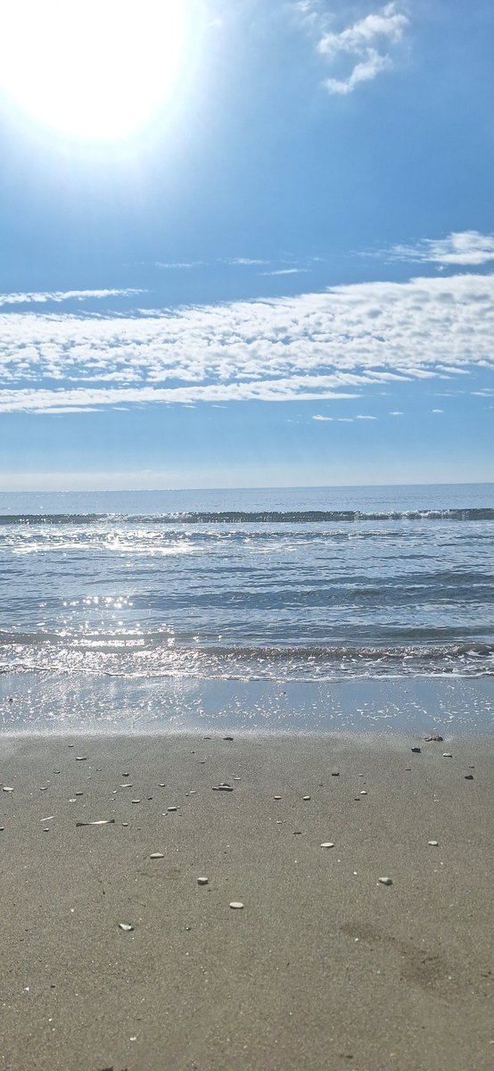 gintotheforest's tweet image. Salute