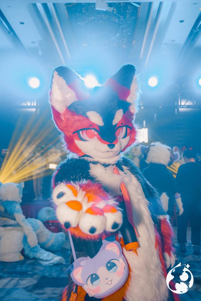 Kion618's tweet photo. 周五的时候完全忘记了……
#FursuitFriday https://t.co/p5jSOIDdpm