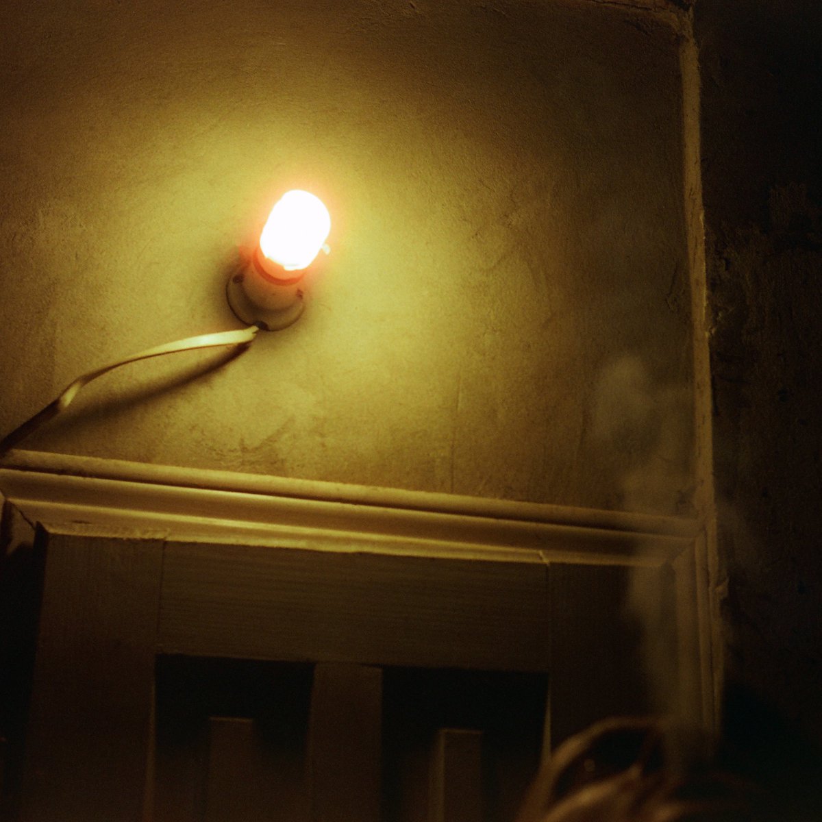 Nina Shambambykli tweet media