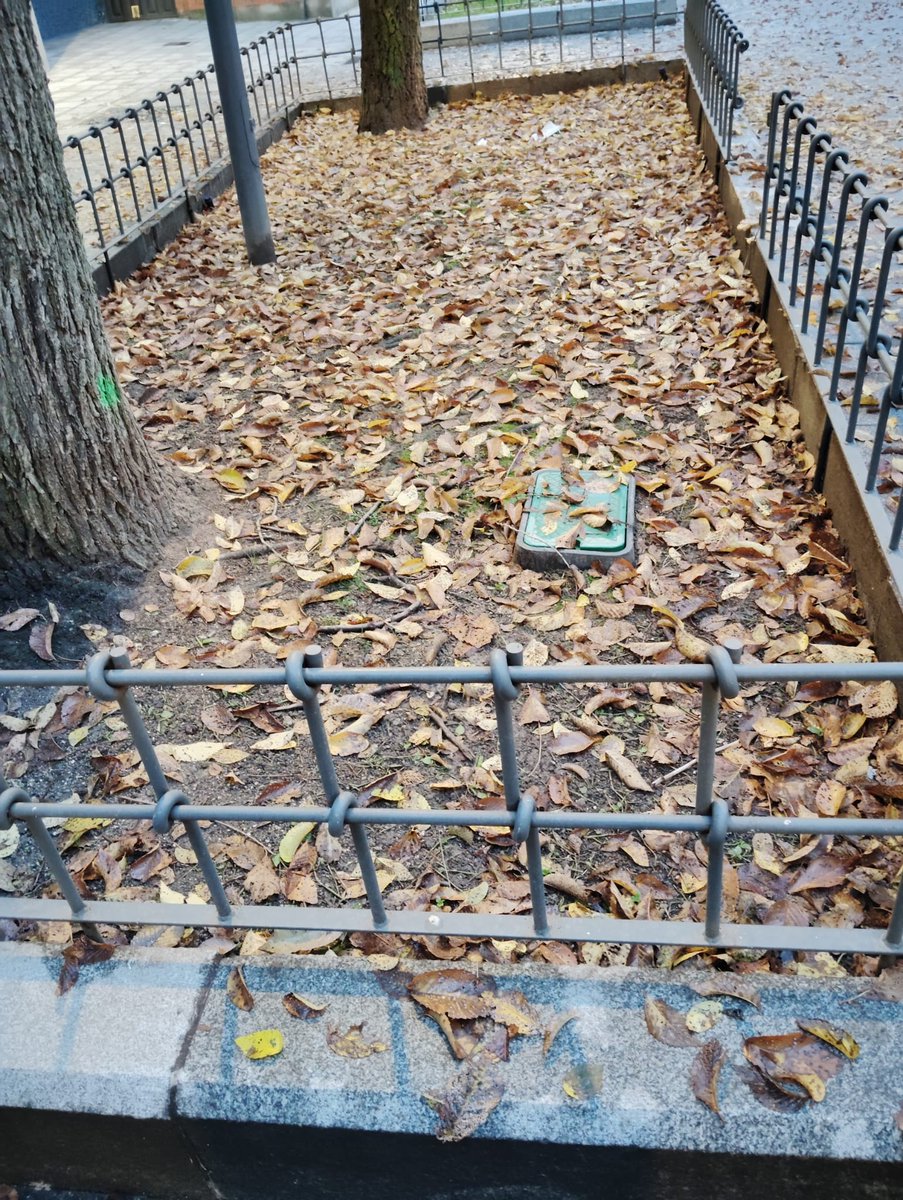 AVBarrioCentro's tweet photo. 📢 Nos comenta una socia:

Estas fotos son de la plaza hermanos pinzón. Está dejado. Las zonas para jardín sin césped ni siquiera cuidado con la plaza tan hermosa y es una pena lo dejada q esta.

Pensamos que tiene toda la razón @AytoLeganes Se va a hacer algo?? https://t.co/3YpkGFdy6L