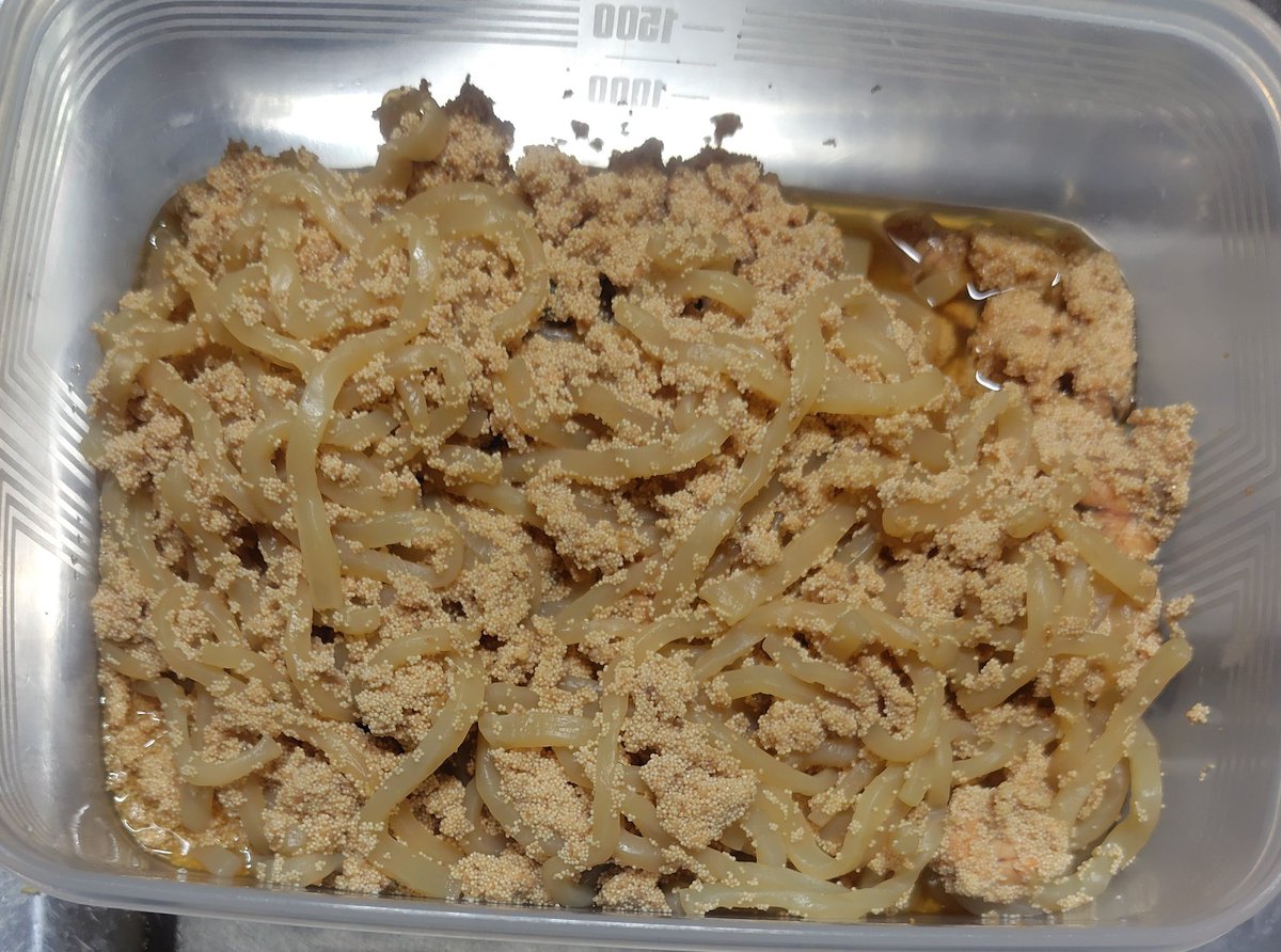 Beer_Hokkaido's tweet photo. 常備菜作り🍚
＃たらの子あえ https://t.co/lxpwS1nsVf
