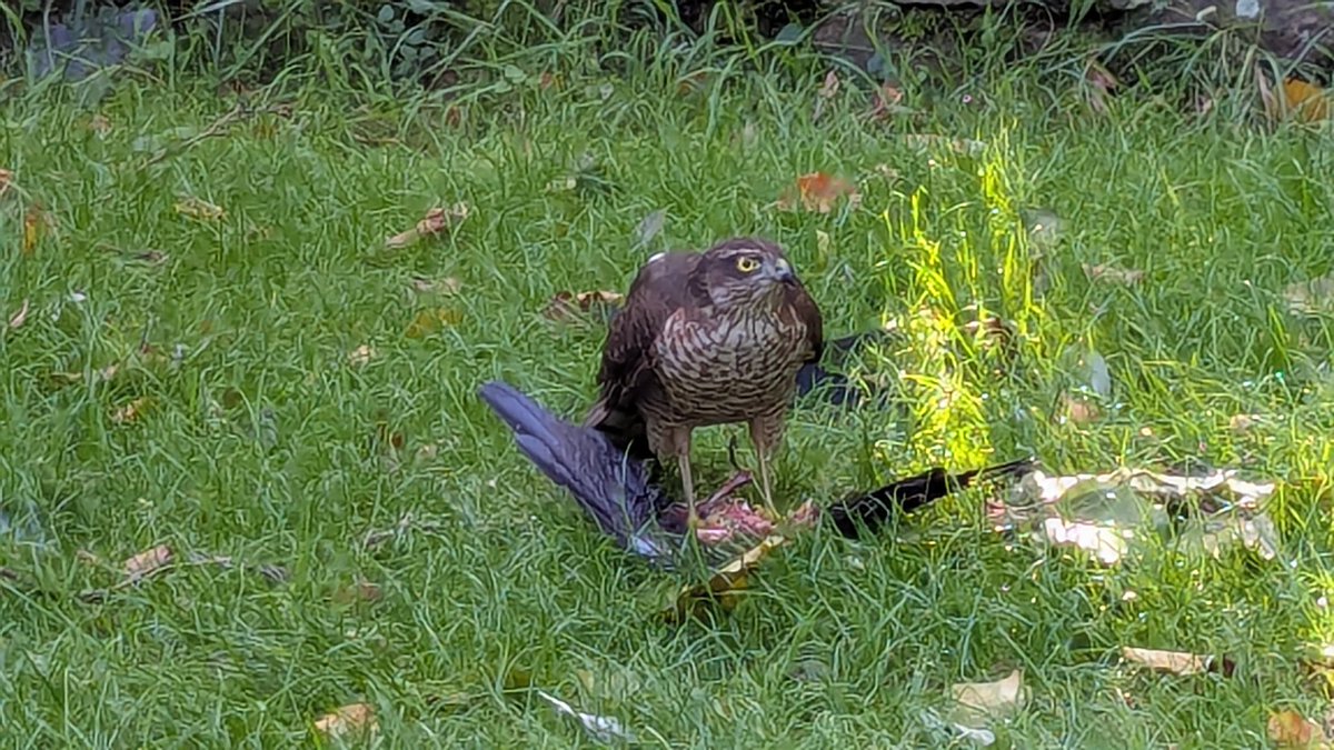 Andy Duncan tweet media