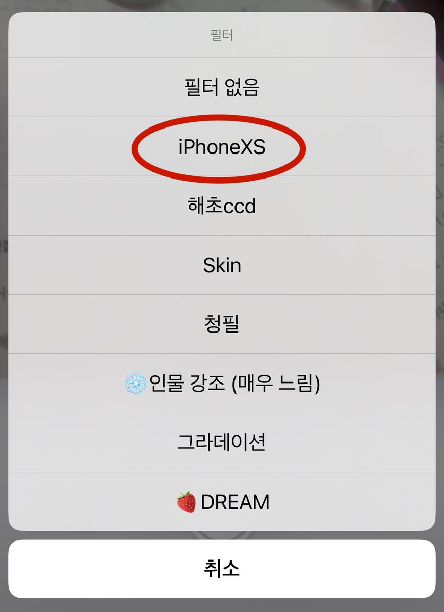 p111kuu's tweet photo. 아이폰XS 필터 사용해서 찍으면
요런 디카 느낌처럼 나와요!!((원트 사진도 이 필터👼🏻 https://t.co/4uPMn8VG2h