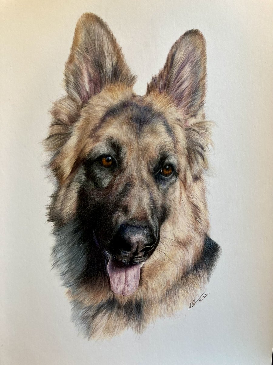 Megan Elizabeth - Artist tweet media