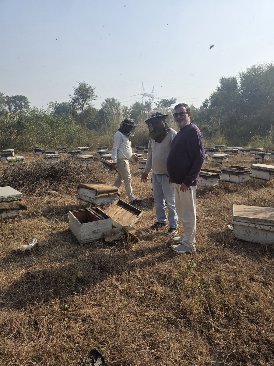 MukeshPathakji's tweet photo. I am a #beekeeper, youβre welcome to visit my #apiaries.
The point is simple: when I have the real product, why would I sell anything fake?
#FabaHoney
On the other hand, big brands donβt keep bees, yet they sell honey in huge quantities.
So you can easily understand where their honey must be coming from π