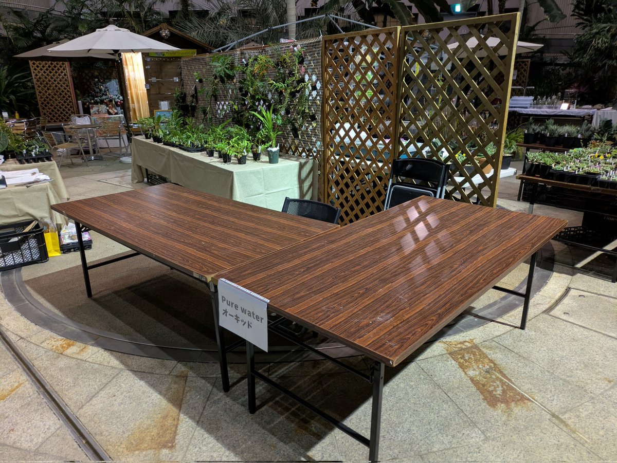 カナデルエンゲイ (@R_musicalis) / Posts / X