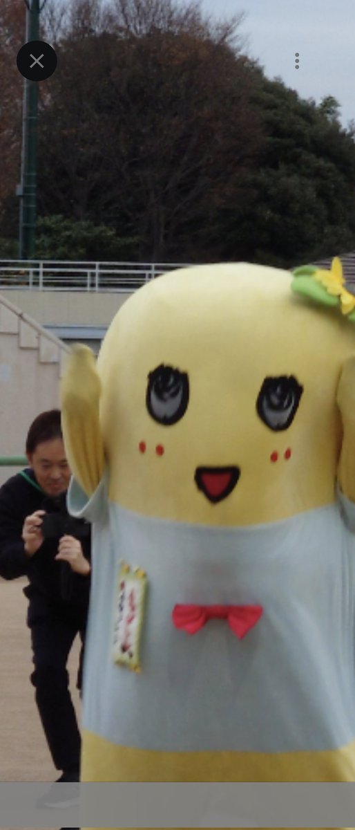 せぴこ(ゲンベック・せぴー)💙前世バンゲリングベイ (@seccan19840803