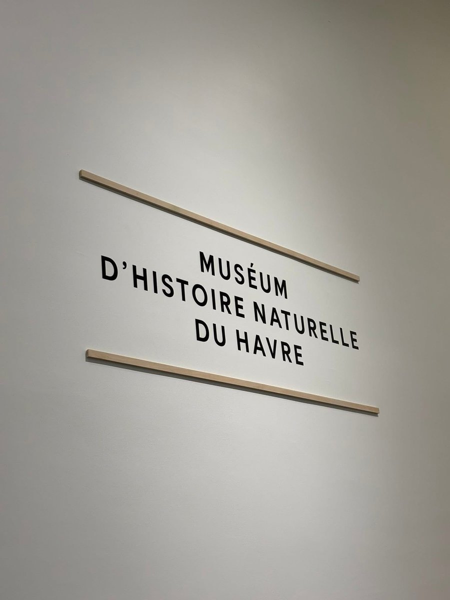 agnesfirmin's tweet photo. Après 3 ans de travaux, le muséum d’histoire naturelle du Havre est réouvert. 
À découvrir absolument ! Après l’inauguration hier soir @EPhilippe_LH , ouverture au public à partir de ce jour… https://t.co/Egimsg0gD6