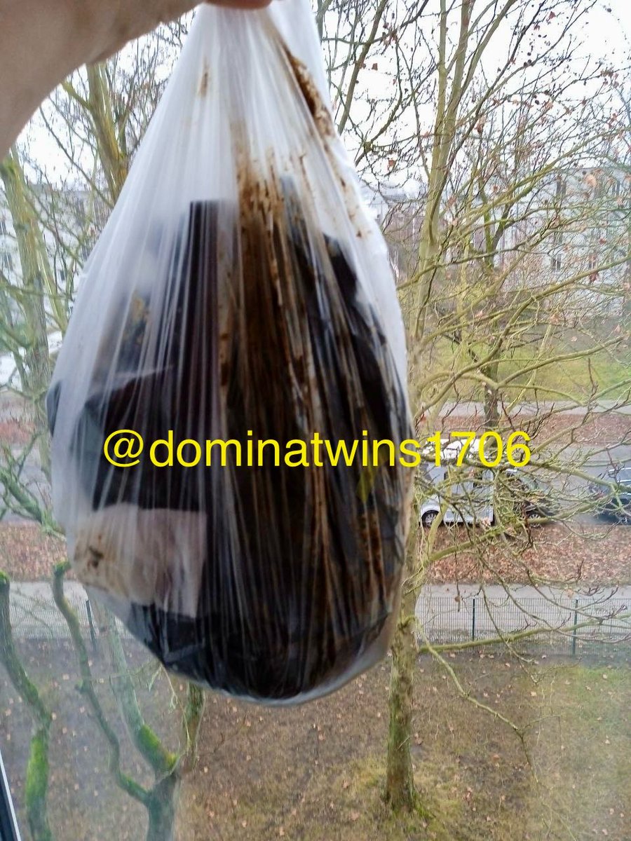 dominatwins1706 tweet media