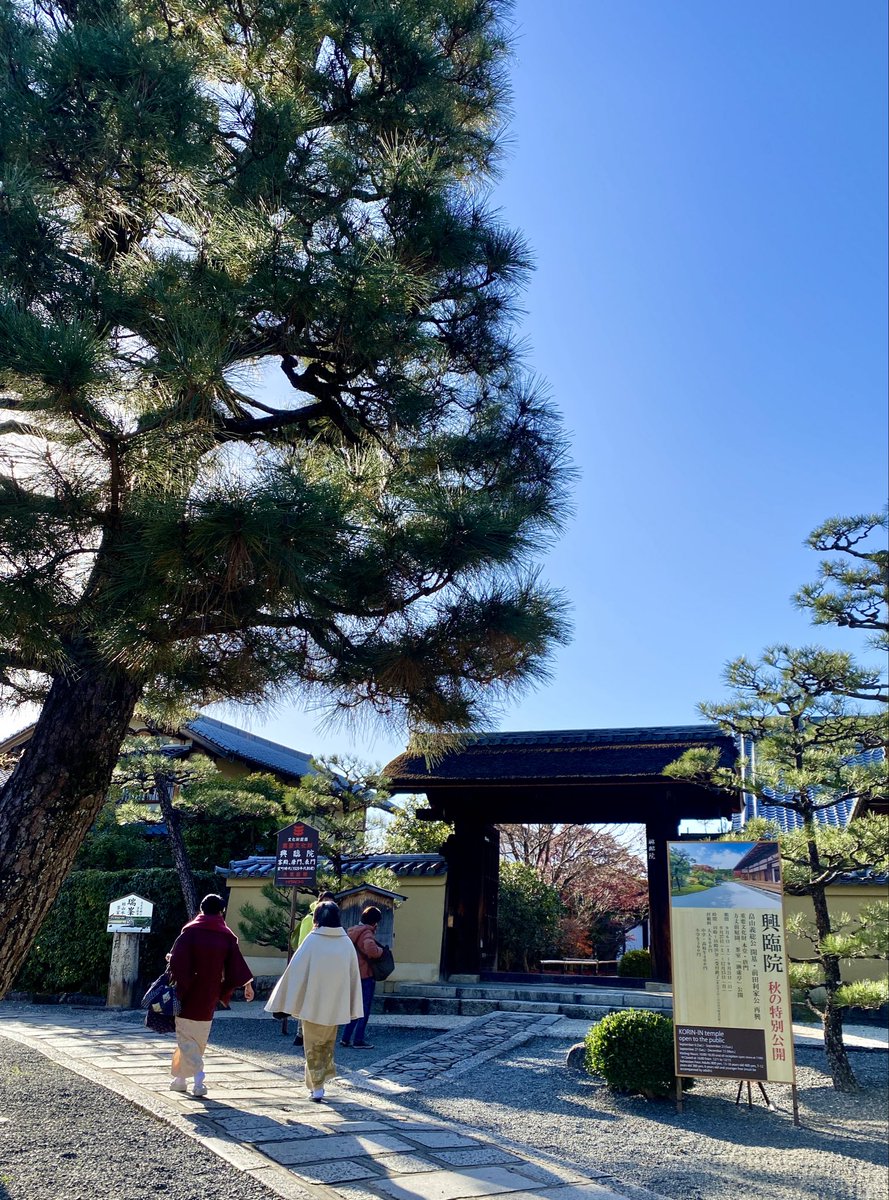 今天去北区路过今宮神社和大徳寺。
12月中旬，最后一抹紅。
今宮神社看过春天的青紅葉，完全不同的感觉。
大徳寺枯山水有名，以前看过今天没进去，以后有机会会陪家人友人进去坐坐吧。
小时候看过《聪明的一休》，其实真的一休禅师是在大徳寺修行并在这里逝世。
最喜欢大徳寺的松，历史与禅意萦绕。