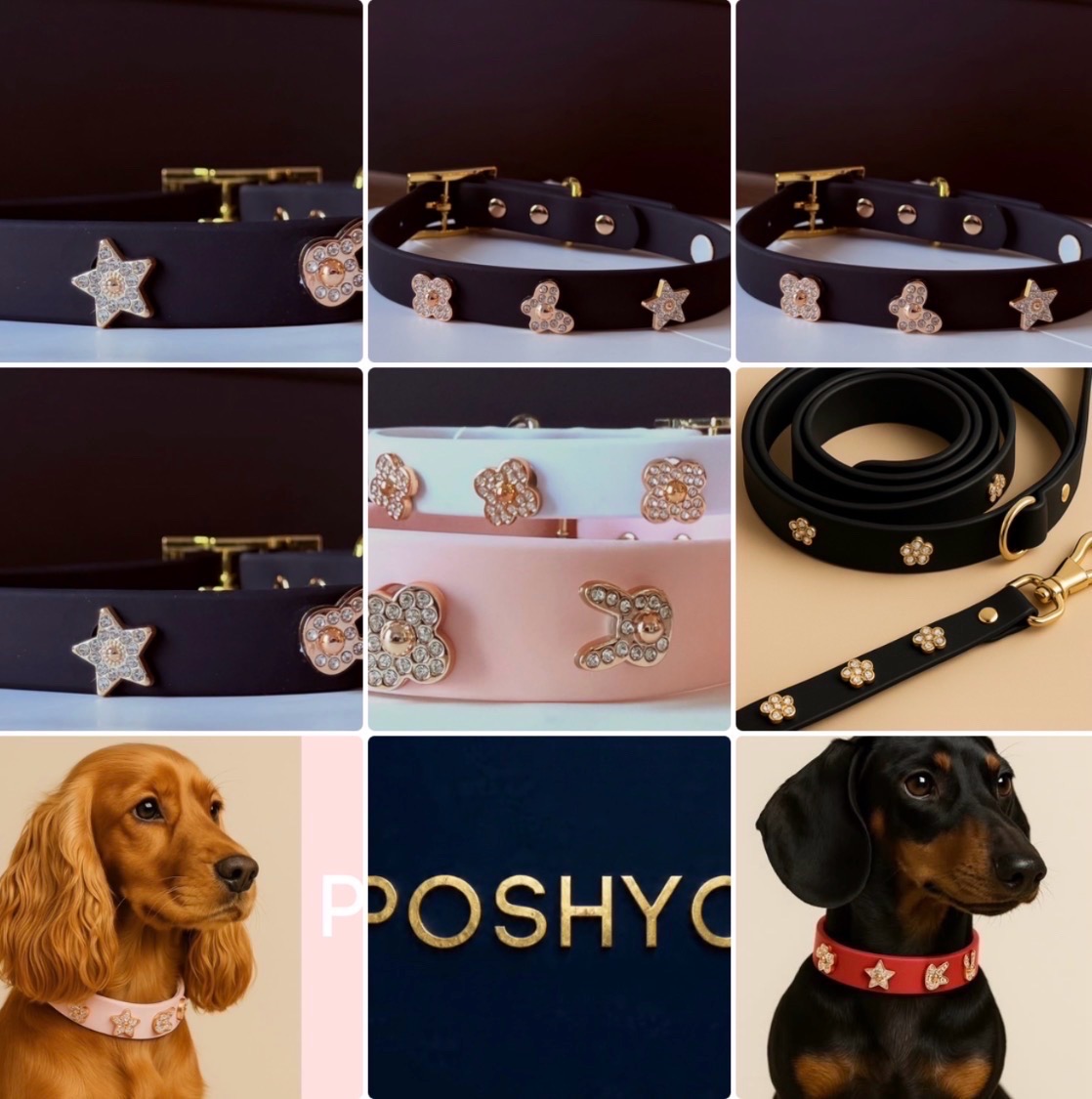 PoshycBrand's tweet photo. The ultimate ClipUp/Unclip dog accessories are here! Elevate your pet's look with elegant charms and stylish details.  Explore the collection now! #poshyc #ClipUp What’s your pet’s go-to accessory? https://t.co/Wl9vEAucZM