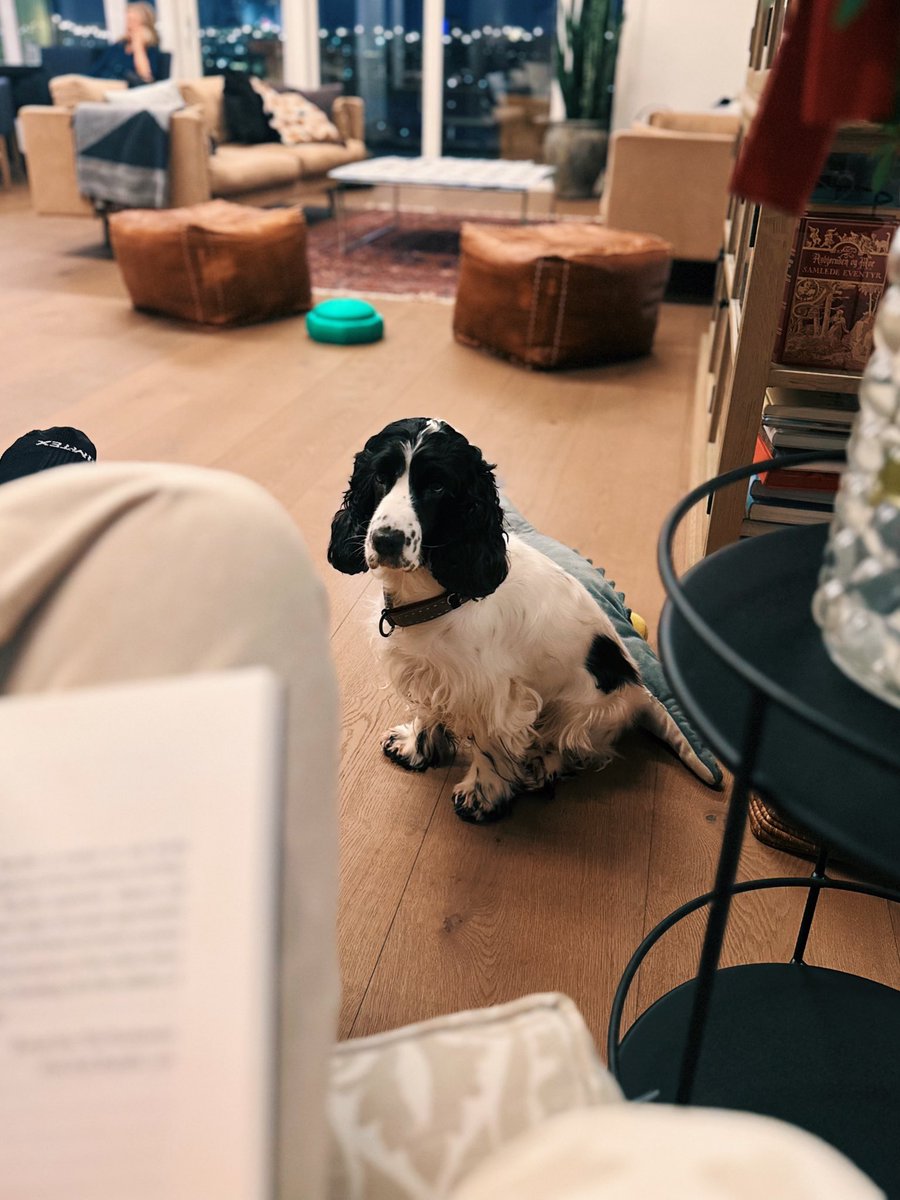 mbjorgum's tweet image. For the readers, let’s document what we’re reading this Christmas so others can pick inspiration! 📚

My first is from the book club:

Claire Keegan’s Small Things Like These.

Only 110 pages, but oof, she’s managed to capture a whole world in those pages. Ireland, 80s, Xmas.