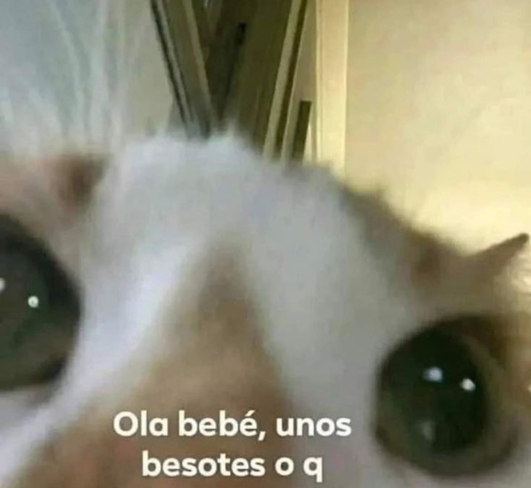 Nos días gentussas 🥰😘