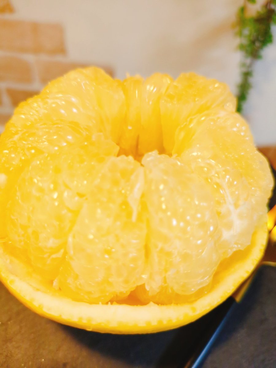 ぴょん（・×・💗） (@pyon_room) / Posts / X