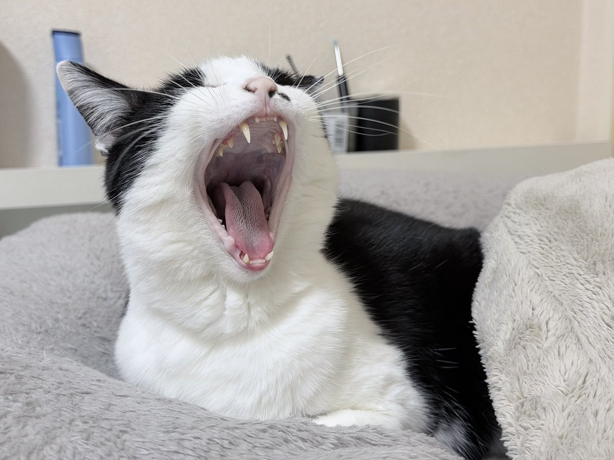 もっちゃん 本当に素敵な1日になりました🥹 皆さま、本当にありがとうございました