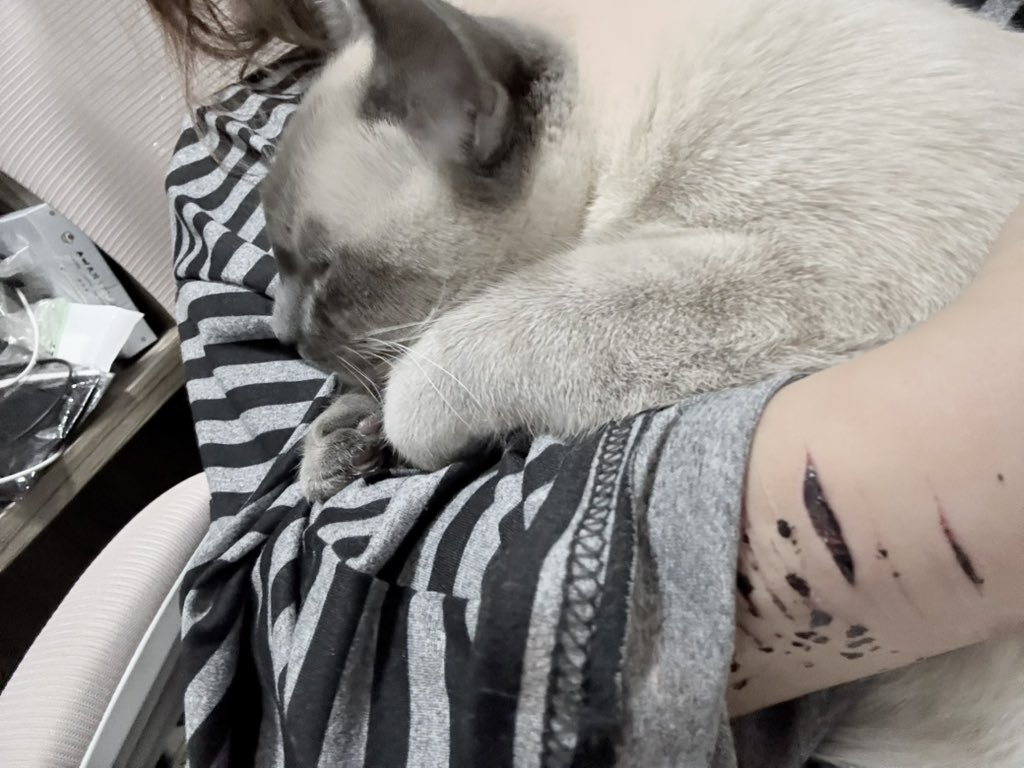 你和天空一样远 tweet media