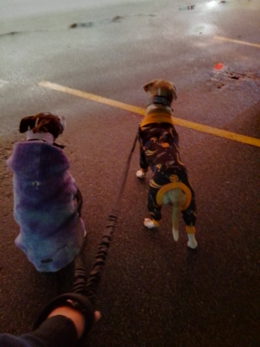 LebrockTony's tweet photo. Satπ
πβπ¦ΊPittiePose/Backπ‘π
π€πΎπππ€ππ€πππΎπ€
#staffiesaturday #pittrageous
#dogking #dogqueen #pitties
#staffielife #dogmomlife #pitti #petpals #dogsday #staffies
#MadamRiley #joey #pibbles https://t.co/lQdI0QkLNN
