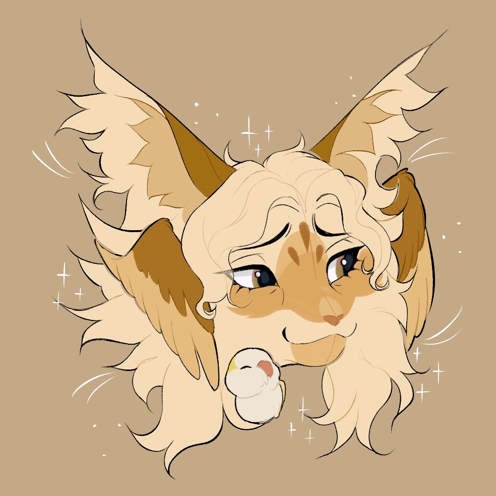 🔅Bean tweet media