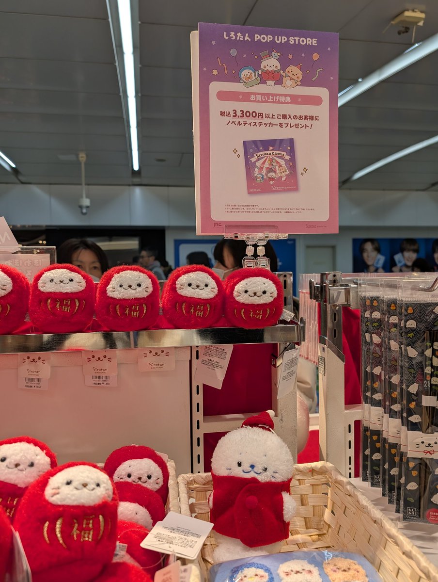 新宿のしろたんポップアップと東京駅のキキララポップアップハシゴ