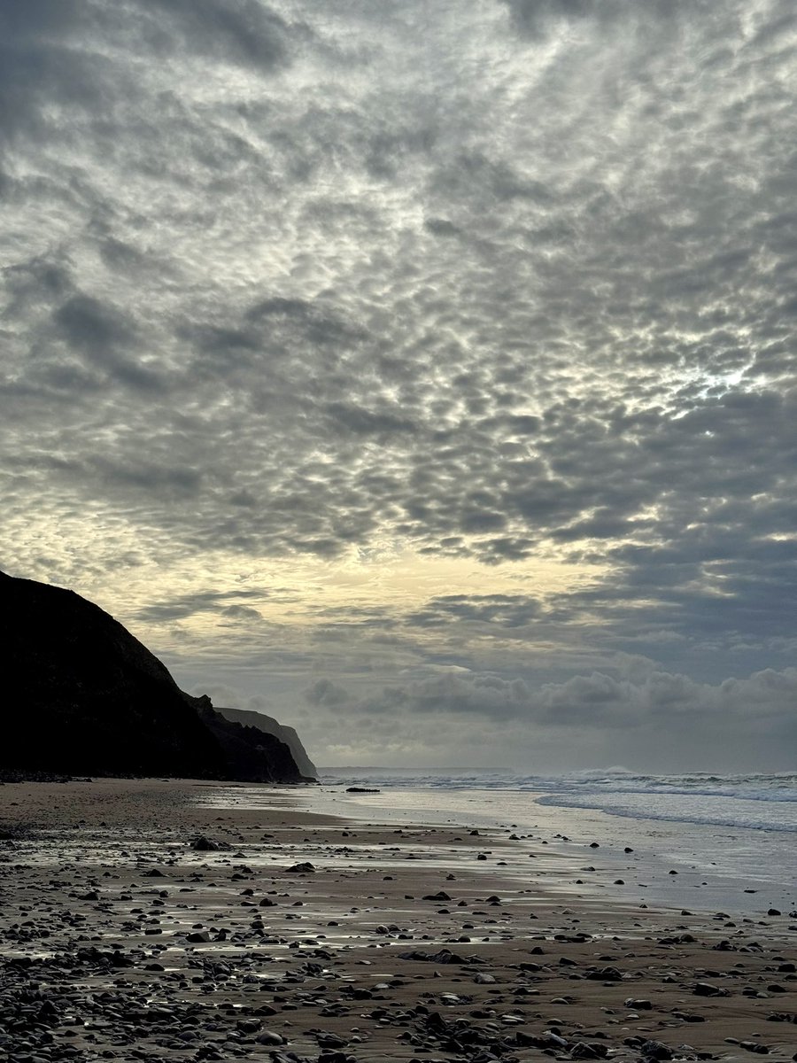 Maja 🏍 tweet media