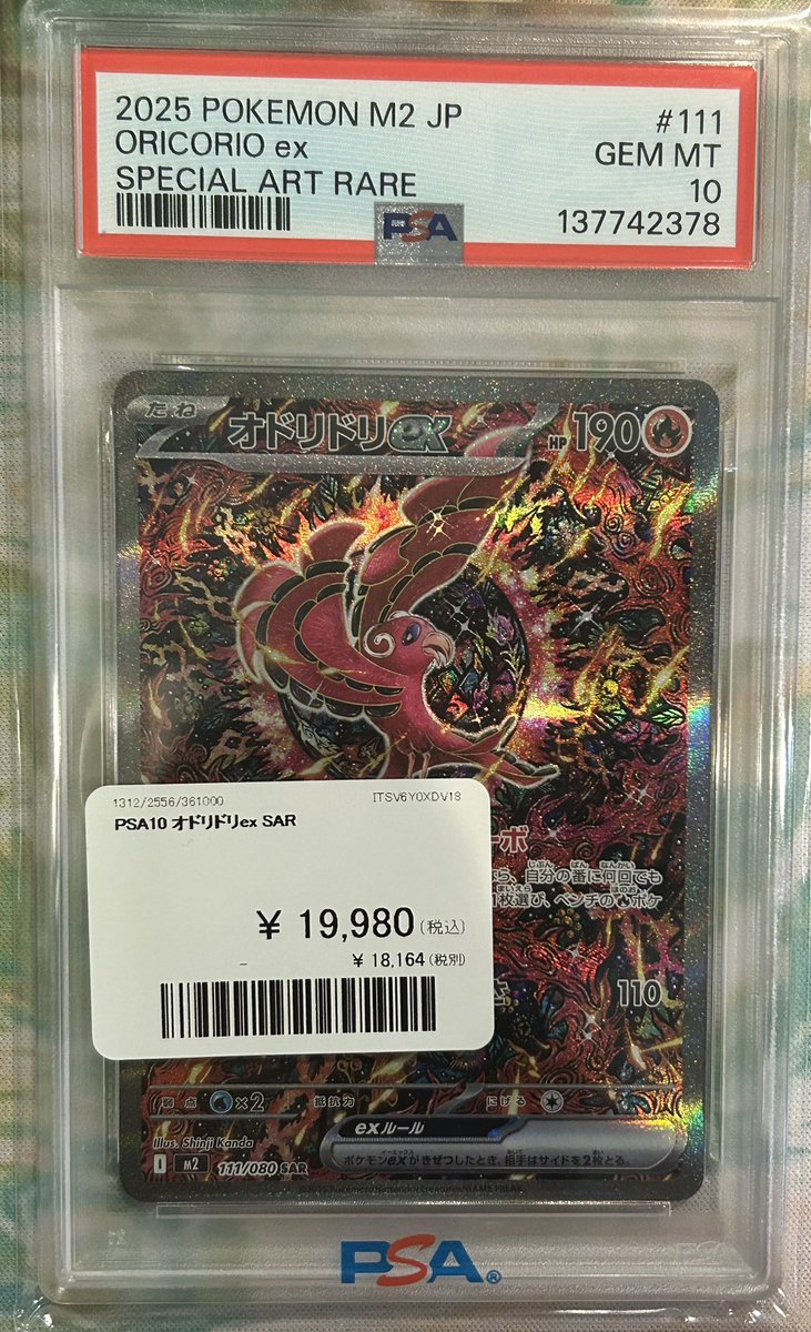 🦜入荷情報🦜 ✓PSA10 ・オドリドリex SAR おつかれにゃんにゃん 踊り