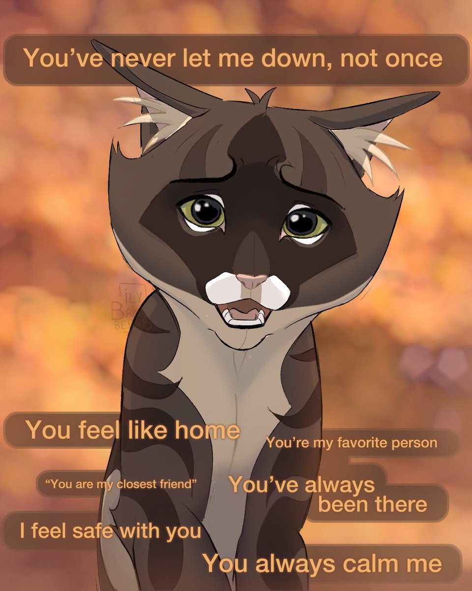 🔅Bean tweet media