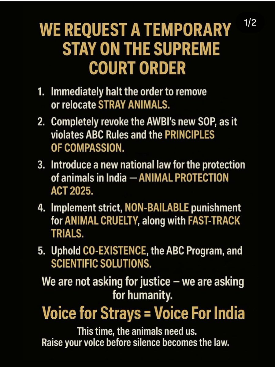 SewaLives's tweet photo. #voiceforstraysindia https://t.co/6oMtNuebrZ