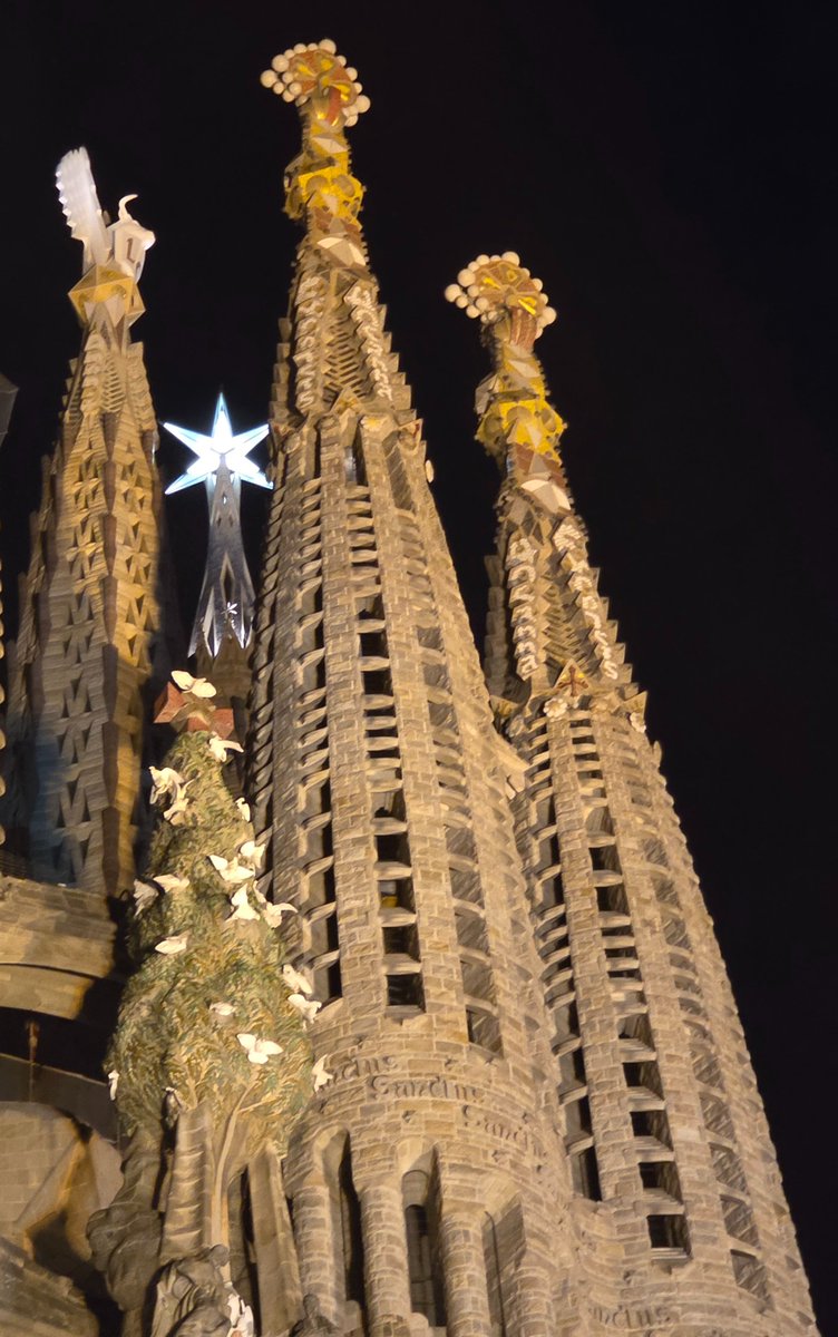 Ahir vaig ser al Concert de Nadal que es va fer al TEMPLE DE L A SAGRADA FAMÍLIA. Hi vaig escoltar una selecció de  peces de grans compositors com Bach, Saint-Saëns, Mendelssohn, Mozart, Vivaldi o Händel,.. A mi em sembla que aquest CONCERT DE NADAL al Temple la Sagrada Família