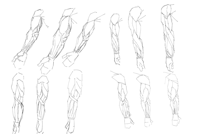 今日のクロッキ- 腕の筋肉と仲良くなりたい