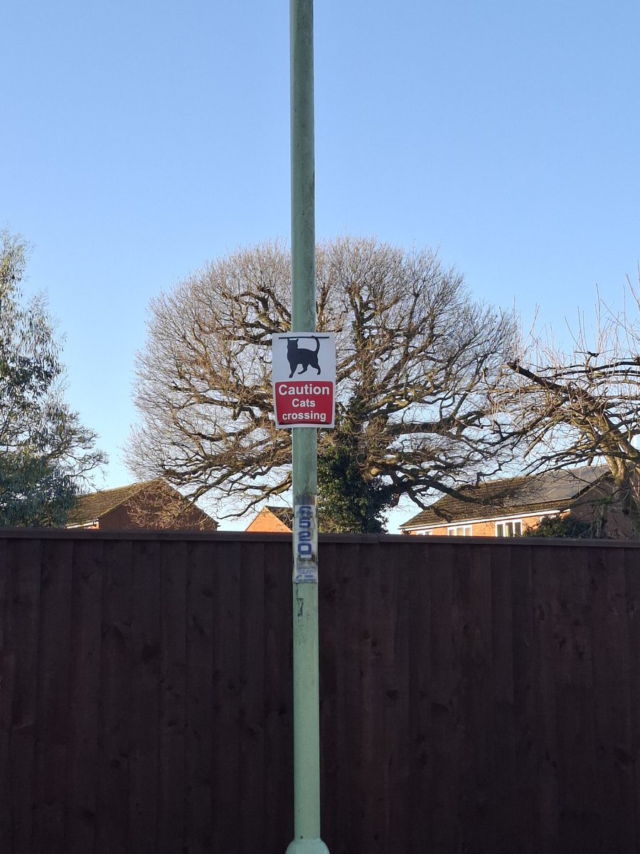 tomis2's tweet image. It's too late for my beloved Ally but maybe the signs will save other cats. #Caturday