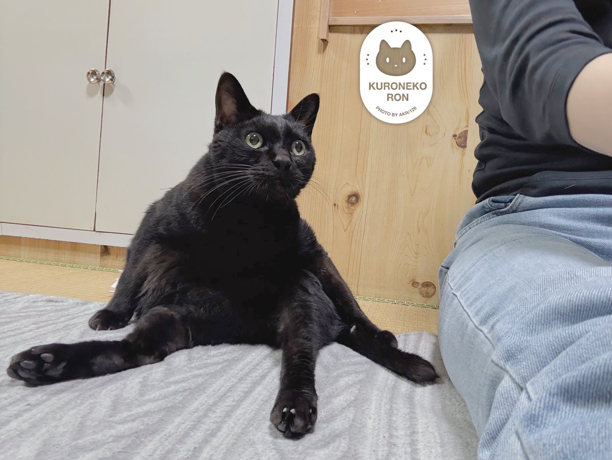 エリンギ (@eringieringi) / Posts / X